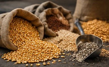Sacks of grain and agricultural commodities